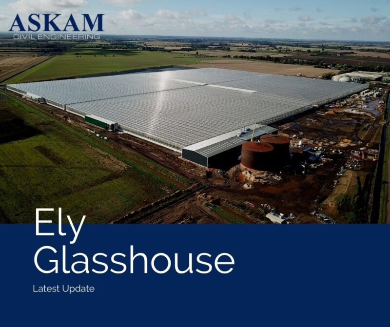 Ely Glasshouse Update Askam