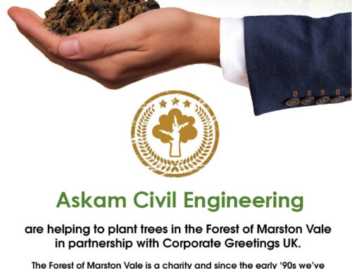 Planting Trees in Partnership with Corporate Greetings UK